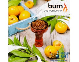 Табак Burn Juicy Apricot (Абрикос) 100г Акцизный